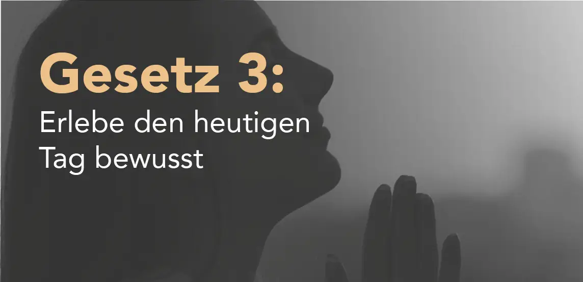 gesetz-3